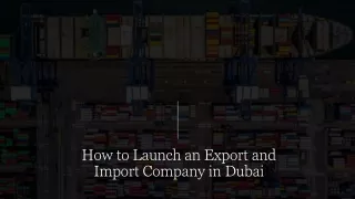 How to launch an import and export business in Dubai