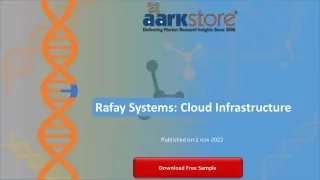 rafay systems cloud infrastructure