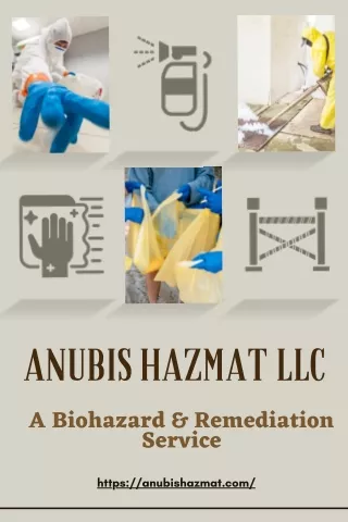 Professional Suicide Cleanup Services - Anubis Hazmat