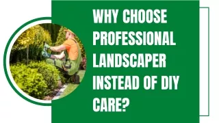 Premier Full Service Landscaping Company