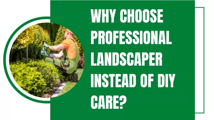 why choose professional landscaper instead