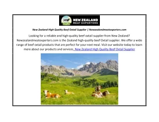 New Zealand High Quality Beef Oxtail Supplier