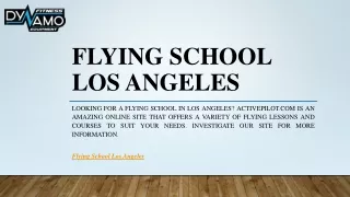 Flying School Los Angeles | Activepilot.com