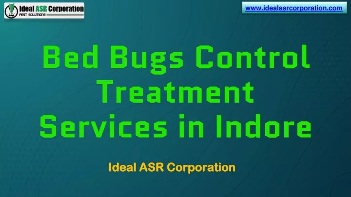 bed bugs control treatment services in indore