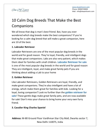 10 Calm Dog Breeds That Make the Best Companions