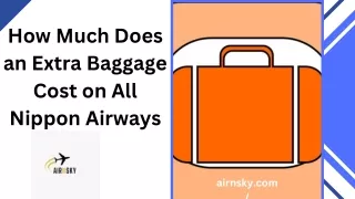 How Much Does an Extra Baggage Cost on All Nippon Airways