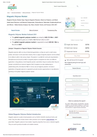 Magnetic Polymer Market | Global Industry Report, 2031