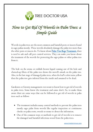 how to get rid of weevils