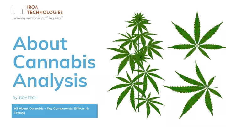 about cannabis analysis