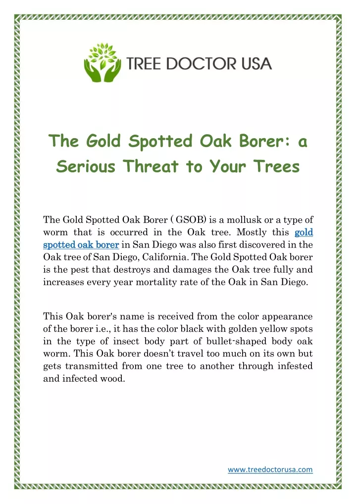 the gold spotted oak borer a serious threat