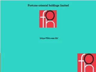 fortune oriental holdings limited