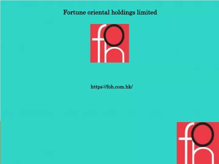 fortune oriental holdings limited