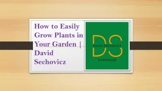 How to Easily Grow Plants in Your Garden |  David Sechovicz
