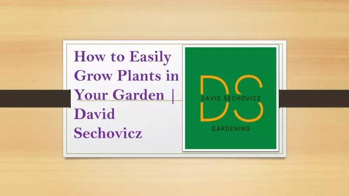 how to easily grow plants in your garden david