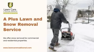 A Plus Lawn and Snow Removal Service | A  Lawn Care