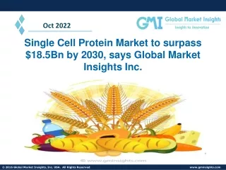 Single Cell Protein Market: Global Industry Analysis and Opportunity by 2030