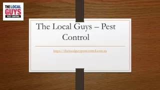 Termite Treatment Adelaide | Thelocalguyspestcontrol.com.au