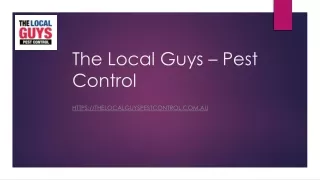 Termite Treatment Perth | Thelocalguyspestcontrol.com.au