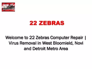 22 zebras