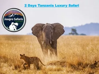 2 Days Tanzania Luxury Safari