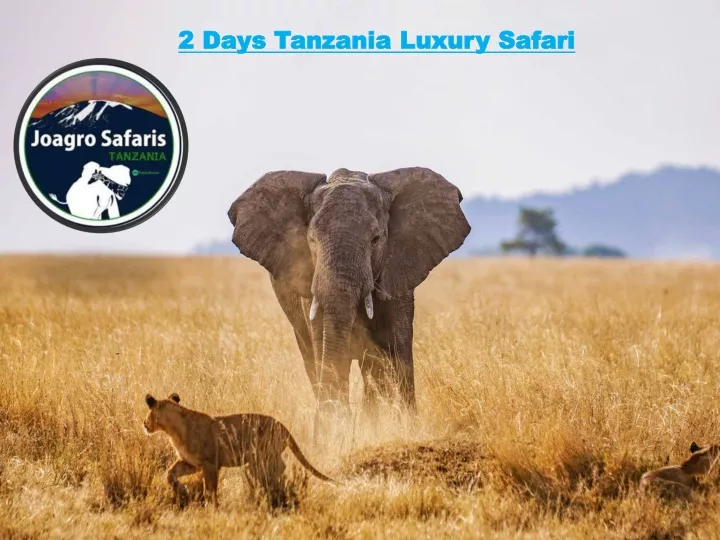 2 days tanzania luxury safari