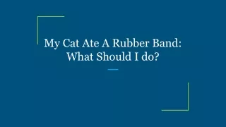 My Cat Ate A Rubber Band_ What Should I do_