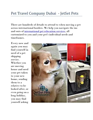 Pet Travel Company Dubai - JetSet Pets