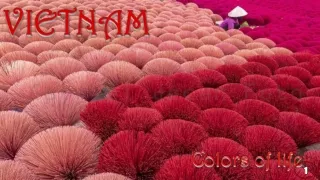 colors of life