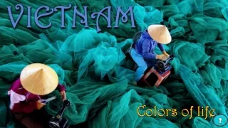 colors of life