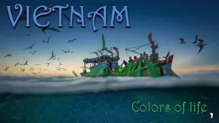 colors of life