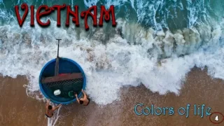 colors of life