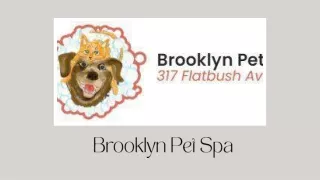 You Can Get Best Grooming Services at Brooklyn Pet Spa