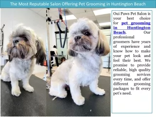 The Most Reputable Salon Offering Pet Grooming in Huntington Beach