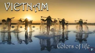 colors of life