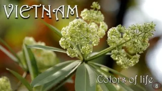 colors of life