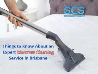 Things to Know About an Expert Mattress Cleaning Service in Brisbane