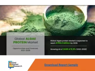 download report sample