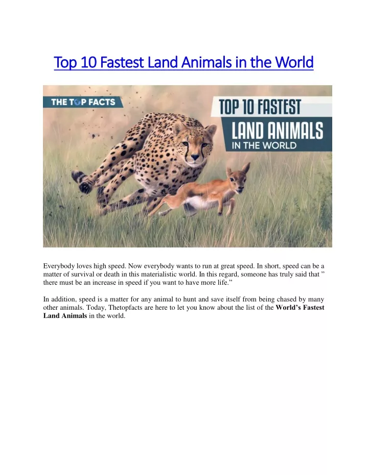 top 10 fastest land animals in the world