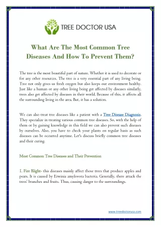 what are the most common tree diseases