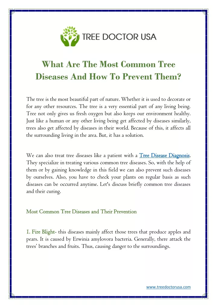 what are the most common tree diseases