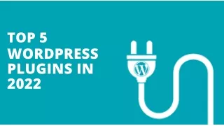 Top 5 WordPress Plugins that Make Your Site beautiful in 2022
