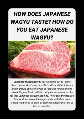 How Does Japanese Wagyu Taste How Do You Eat Japanese Wagyu