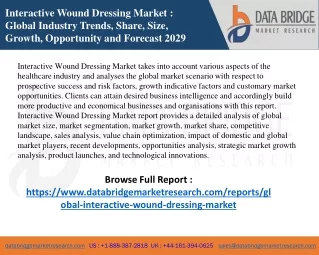 SaGlobal Interactive Wound Dressing Market  pdf -Healthcare