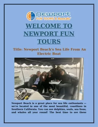 Newport Beach's Sea Life From An Electric Boat
