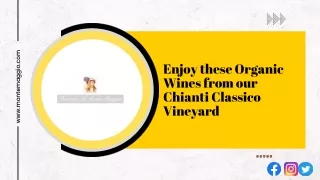Enjoy these Organic Wines from our Chianti Classico Vineyard