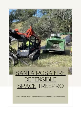Santa Rosa Fire Defensible Space Treepro