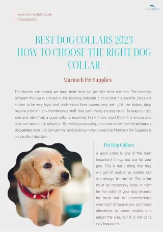 Best Dog Collars 2023 How To Choose The Right Dog Collar