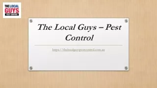 Pest Control Franchise Opportunity | Thelocalguyspestcontrol.com