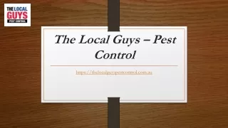 the local guys pest control