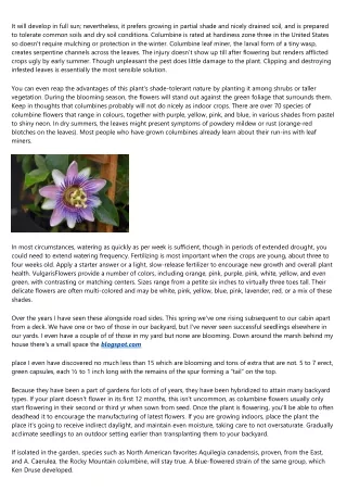 How To Develop And Deal With Columbine Flower